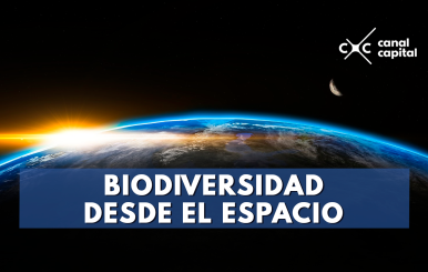 biodiversidad