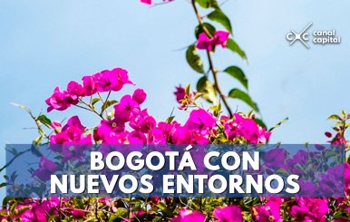 BOGOTÁ-CON-NUEVOS-ENTORNOS (1)