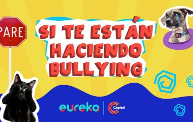 bullying2