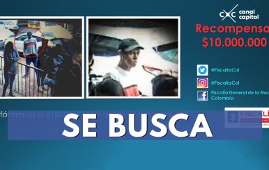 busca