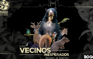 Vecinos Inesperados