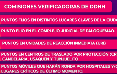 Comisiones verificadoras