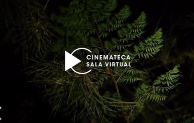 Cinemateca