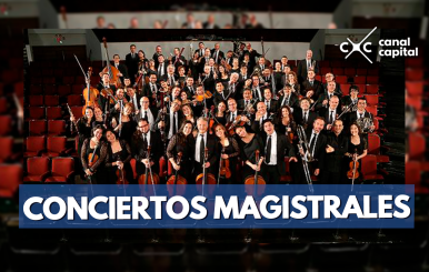 conciertos