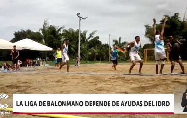 Liga de Balonmano