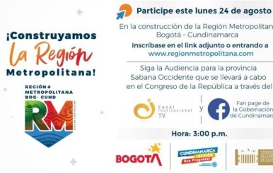 Participa en la elaboración de la ley orgánica de la Región Metropolitana