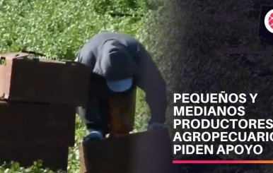 Pequeños y medianos agricultores solicitan apoyo