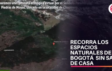 Visitas virtuales a los espacios naturales de Bogotá