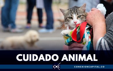 CUIDADO-ANIMAL-