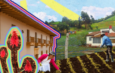 Bogotá mi huerta