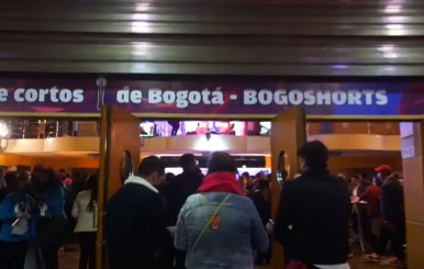 Bogoshorts edición número 19