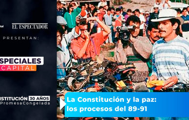 ESPECIAL CONSTITUCIÓN 91 3