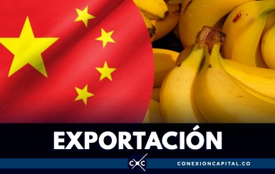 Acuerdo permitirá exportar banano colombiano al mercado chino