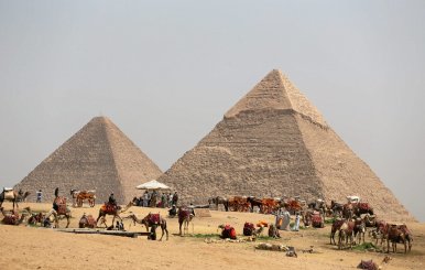 FILE PHOTO: A group of camels and horses stand idle in front of the Great Pyramids awaiting tourists in Giza