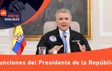 Funciones-del-presidente