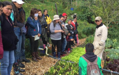 Grados diplomado - Jardín Botánico