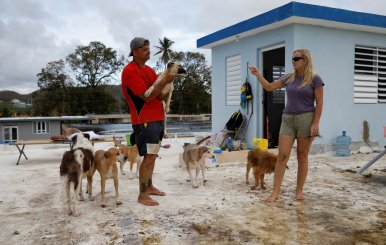 Harasimowicz talks to her husband while he carries one of their dogs on the roof of a neighbor's house after the area was hit by Hurricane Maria in Yauco