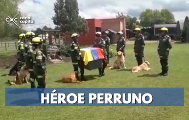 Policía rinde homenaje a perro rescatista