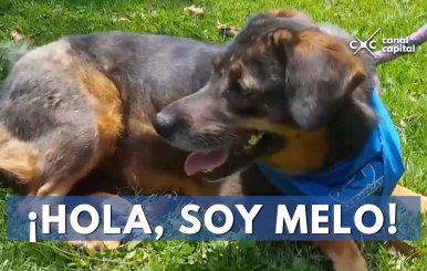 Hola-soy-Melo