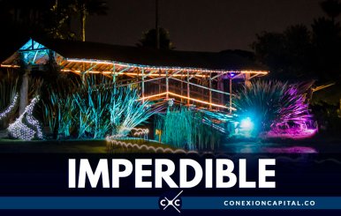 Prepárese para el primer Jardín de Noche del 2019