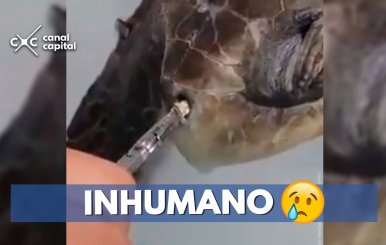 INHUMANO