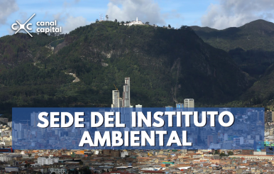 instituto ambiental