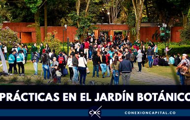 Jardín Botánico de Bogotá busca practicantes