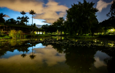 JARDÍN BOTÁNICO