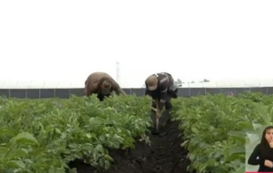 Gobierno Nacional radicó proyecto que busca beneficiar a productores agropecuarios