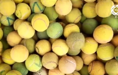 pelotas de tennis