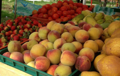 Mercados campesinos