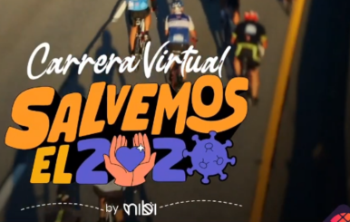 Salvemos el 2020