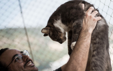 Animales adopción