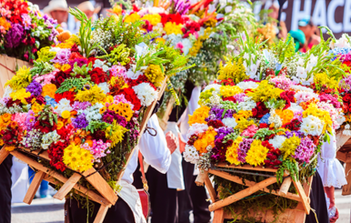 flores colombianas