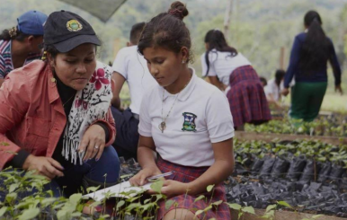 Programa de las Naciones Unidas para el Desarrollo, (PNUD).