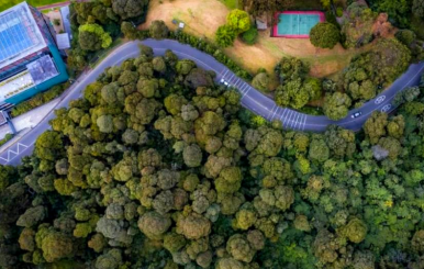 Área verde de Faldas del Cerro de Guadalupe con avenida circunvalar, Bogotá.