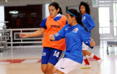 Campeonato Mundial de Fútbol de Salón