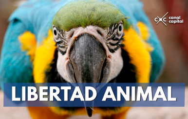 Libertad Animal