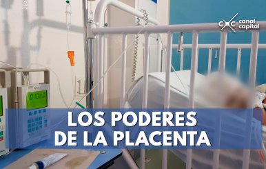 Los-poderes-de-la-placenta