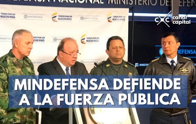 mindefensa