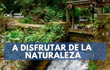 naturaleza-min