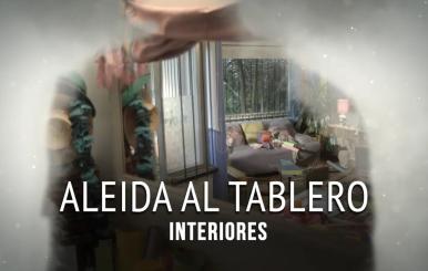 Aleida al tablero