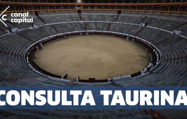 consulta-taurina