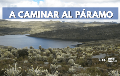 Paramo_sumapaz