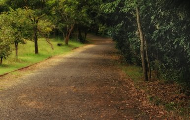 Parques ecoturísticos