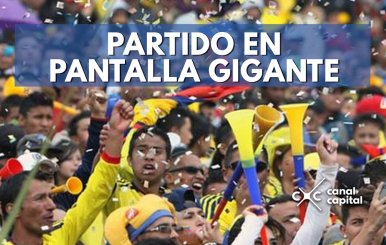 PARTIDO-EN-PANTALLA-GIGANTE--