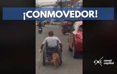 perrito-hombre-silla-ruedas