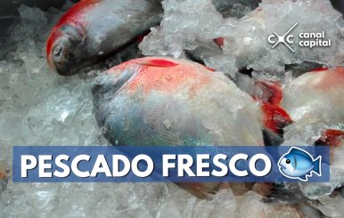 pescado-fresco