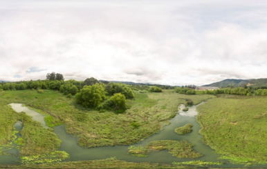 Plan ambiental en Lagos de Torca