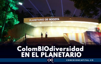 ¡Imperdible! Hoy podrá entrar gratis al Planetario de Bogotá